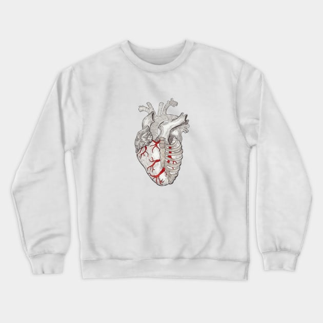 Anatomical Heart in a Ribcage with Stylized Ribs and Red Blood Vessels Crewneck Sweatshirt by paintingbetweenbooks